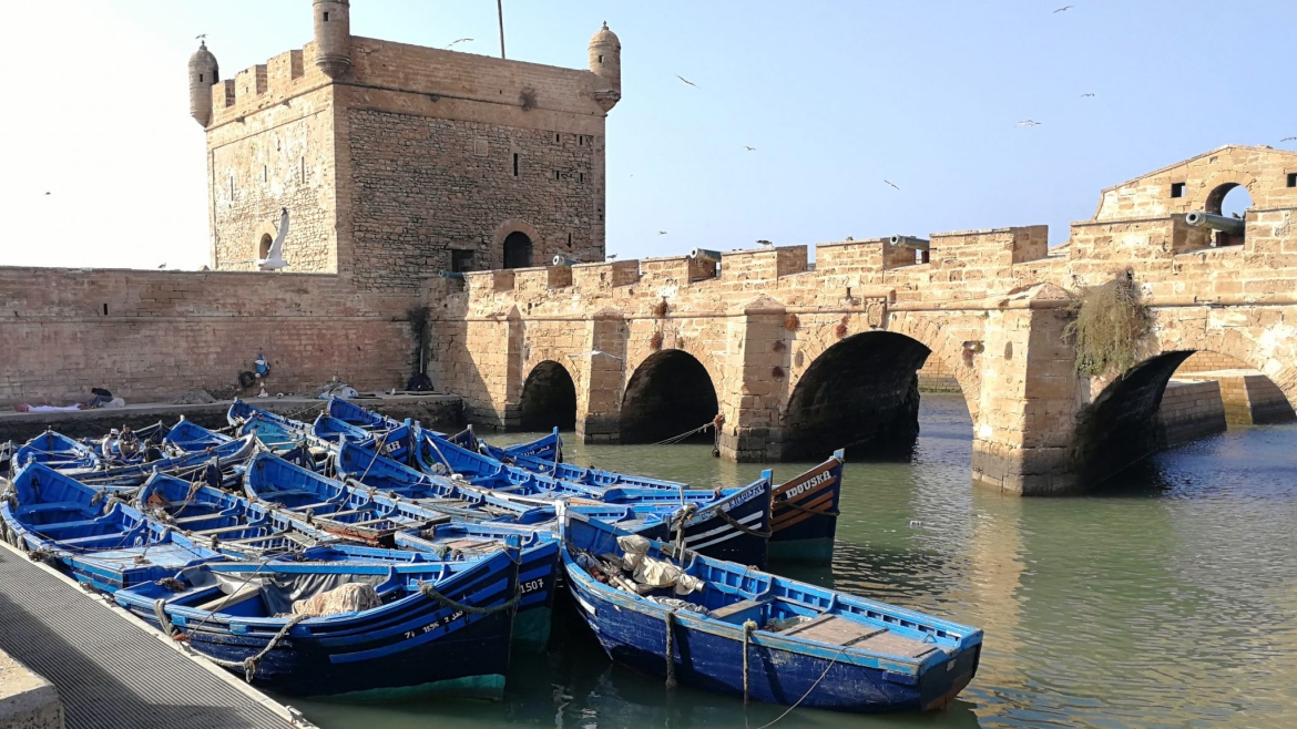 De marrakech : excursion d’une journée dans Essaouira