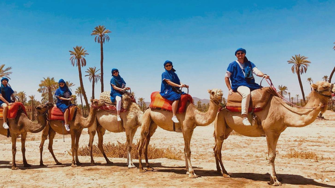 5 Activités à marrakech : quad , balade en dromadaire, buggy et montgolfière à Agafay et Palmeraie