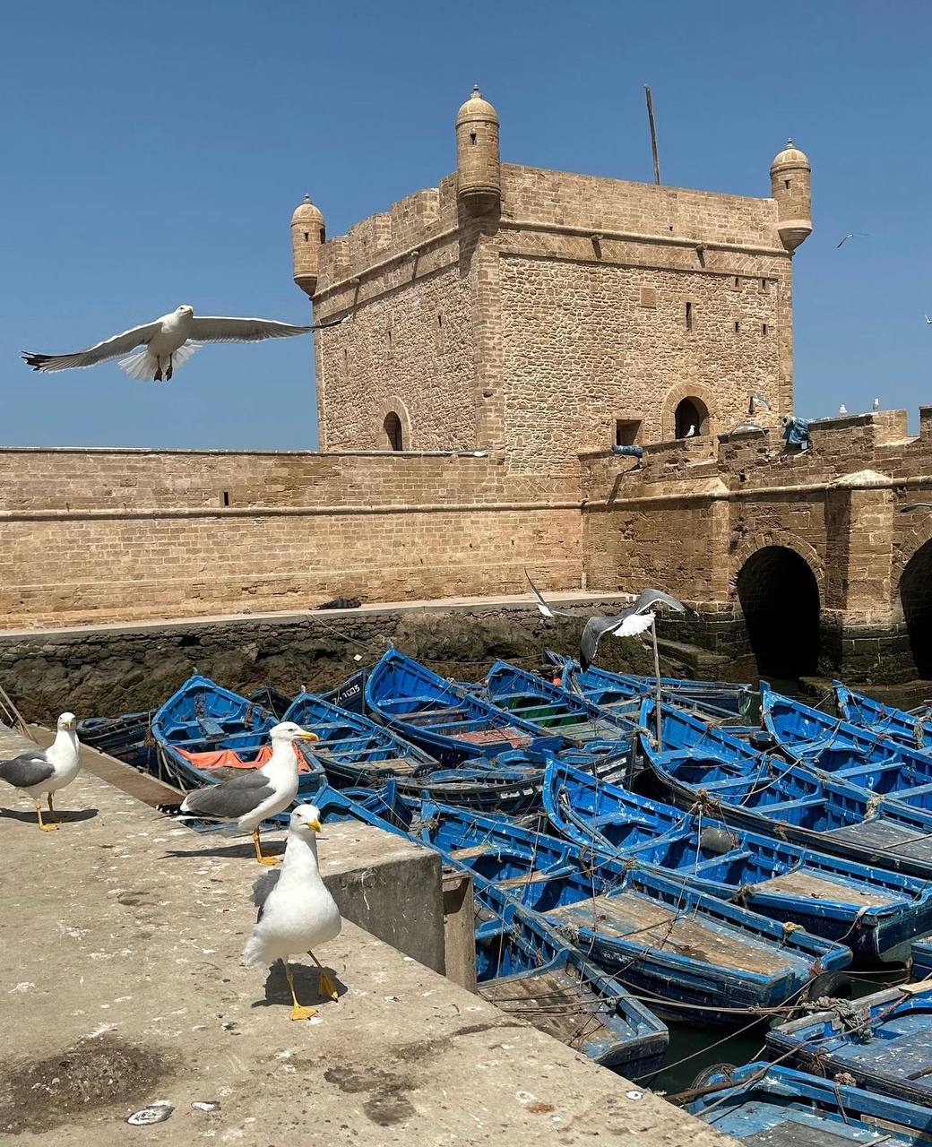 De marrakech : excursion d’une journée dans Essaouira